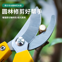 Garden scissors Pruning scissors Branch scissors Plant scissors Garden scissors Floral scissors Fruit tree scissors Thick branch scissors