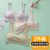 Hair Development Underwear Elementary School Junior High School Junior High School Girl Color Cotton Small Vest Style Breathable Bra Summer Thin