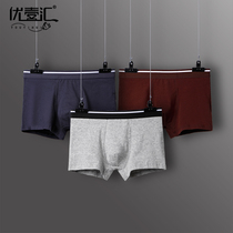 Panties male pure cotton four-corner pants male full cotton crotch shorts trendy personality breathable boys young flat-corned pants head