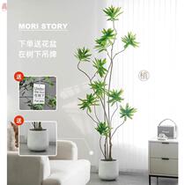 Next to the TV cabinet the decoration of flowers and green plants is anti-true indoor false flower simulation living room floor-to-ceiling large potted plants