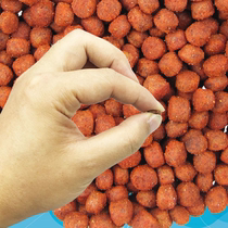 Wild Fishers Direct Hook Through Kill Bait Small Drug Grain Fish Bait Stock Wild Fishing Black Pit Fishing Crucian Carp Carp Grass Carp