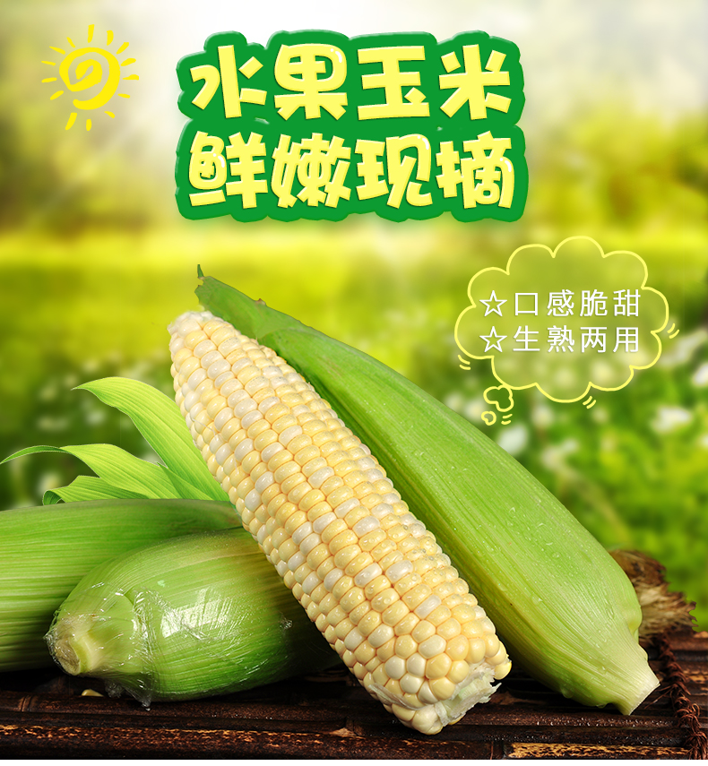 【现摘玉米】云南金银新鲜水果玉米/可生吃