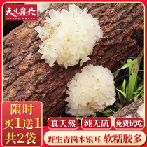 Wild silver fungus dried snow fungus white fungus Glutinous ears Sulfur-free lotus seed soup for pregnant women 120g ugly ears new premium grade