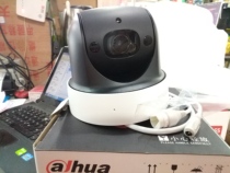 DH-SD2904-GN Dahua 2 million zoom rotation 1080P home network ball machine wireless WIFI card