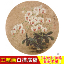 Liang Yansheng Pens White Sketch Manuscript-Flower Bird-Curd-Dou Fang Petty Pint Fan-Country Painting Line A385