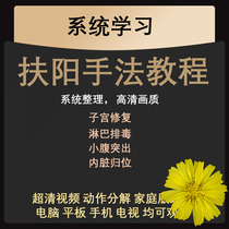 The Fuyang approach tutorial training viscera to adjust the small belly to highlight the uterus to repair the abdominal relaxation lymphatic toxin