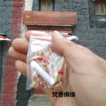 Tibet Sakya Zu Temple Mahagala