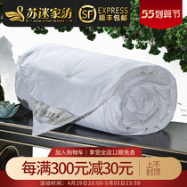 100% Double Palace Cocoon Filament Silk Quilt Silk Quilt by Spring autumn Seasons Air conditioning Winter quilt core (customizable primary and secondary quilt)