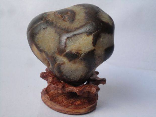 天然奇石/广西石/特色石品/水冲石/孤赏石/石头摆件/{千眼怪石}