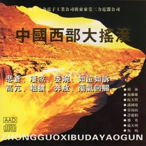 Original Western China Rock Test Disc Fan Linlin Sun Guoqing Hangtianqi Northwest Wind CD CD