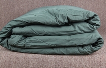 New green moisture-proof quilt hot melt cotton quilt single student dormitory warm in winter