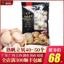 Xidofu Dafan Li cooked shellfish meat 41~50 1kg sushi cuisine Frozen shellfish column sashimi sushi ingredients