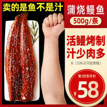 Eel grilled eel ready-to-eat fresh Japanese sushi cuisine Net red grilled eel rice seafood Ingredients 500g