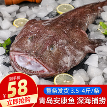 Ankan fish fresh fresh live deep sea fish sea fishing fish toad fish big mouth fish fish liver