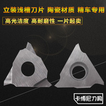 TGF32R CerMet circlip slot blade vertical slot cutter head