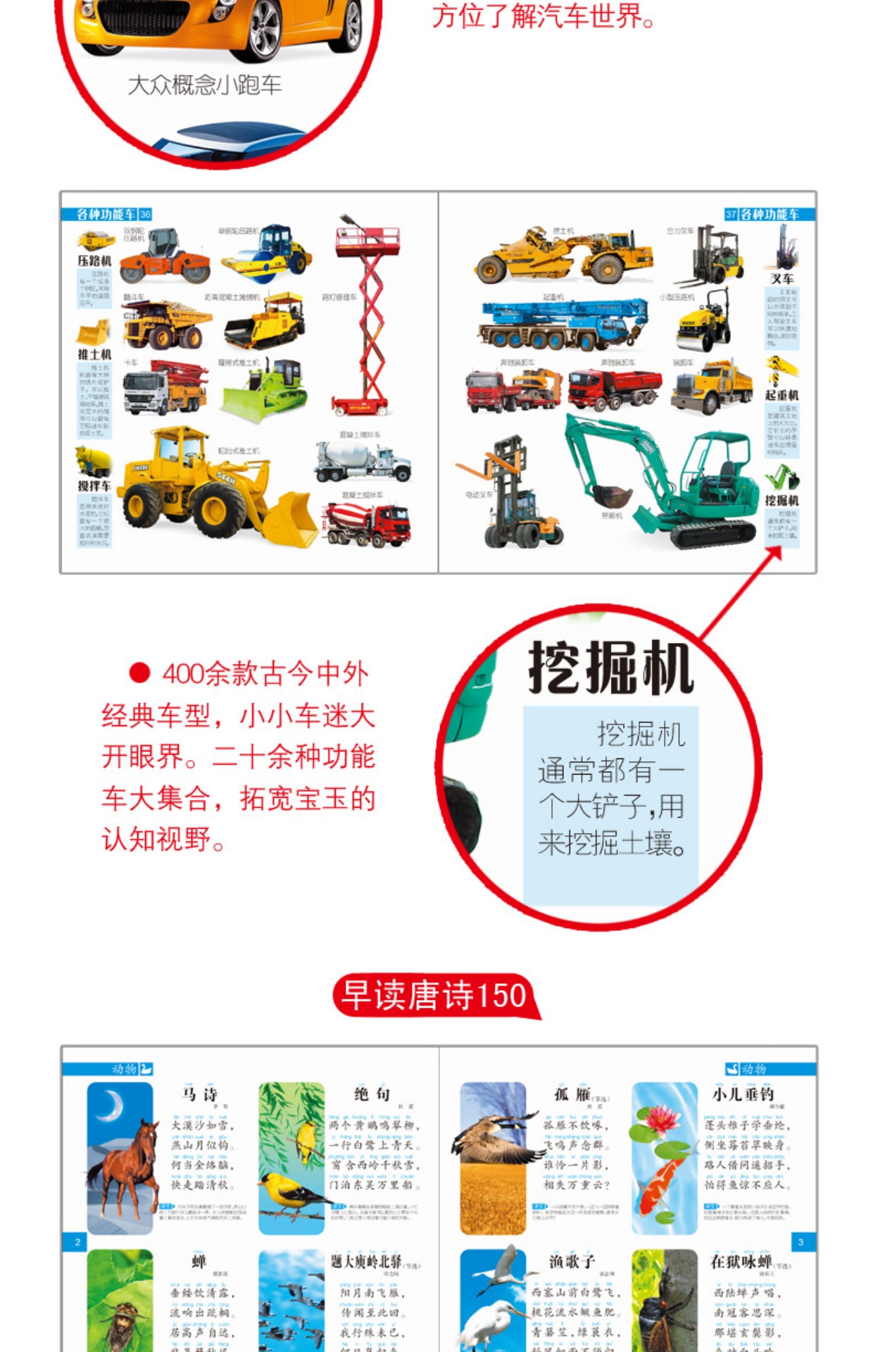 【正版】 小婴孩大书全套6册识车大全 动物大全 认物大全 早识300字