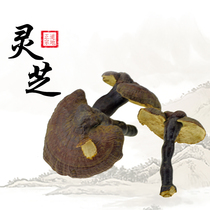 Lan Shengtang Tibetan Ganoderma lucidum white heart Ganoderma lucidum whole fragrance strong cut Ganoderma Zhi powder 250g 180 yuan