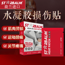 Dutch warm sensation hydrogel post analgesic lumbar muscle strain injury shoulder neck waist thigh calf relieves muscular acid pain patch