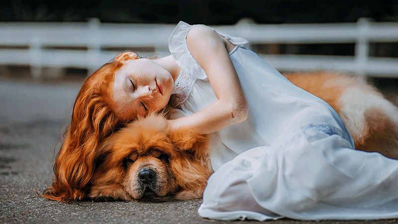 ps脚本扩展 静态图循环微动画特效制作 imagemotion v1.3中文版