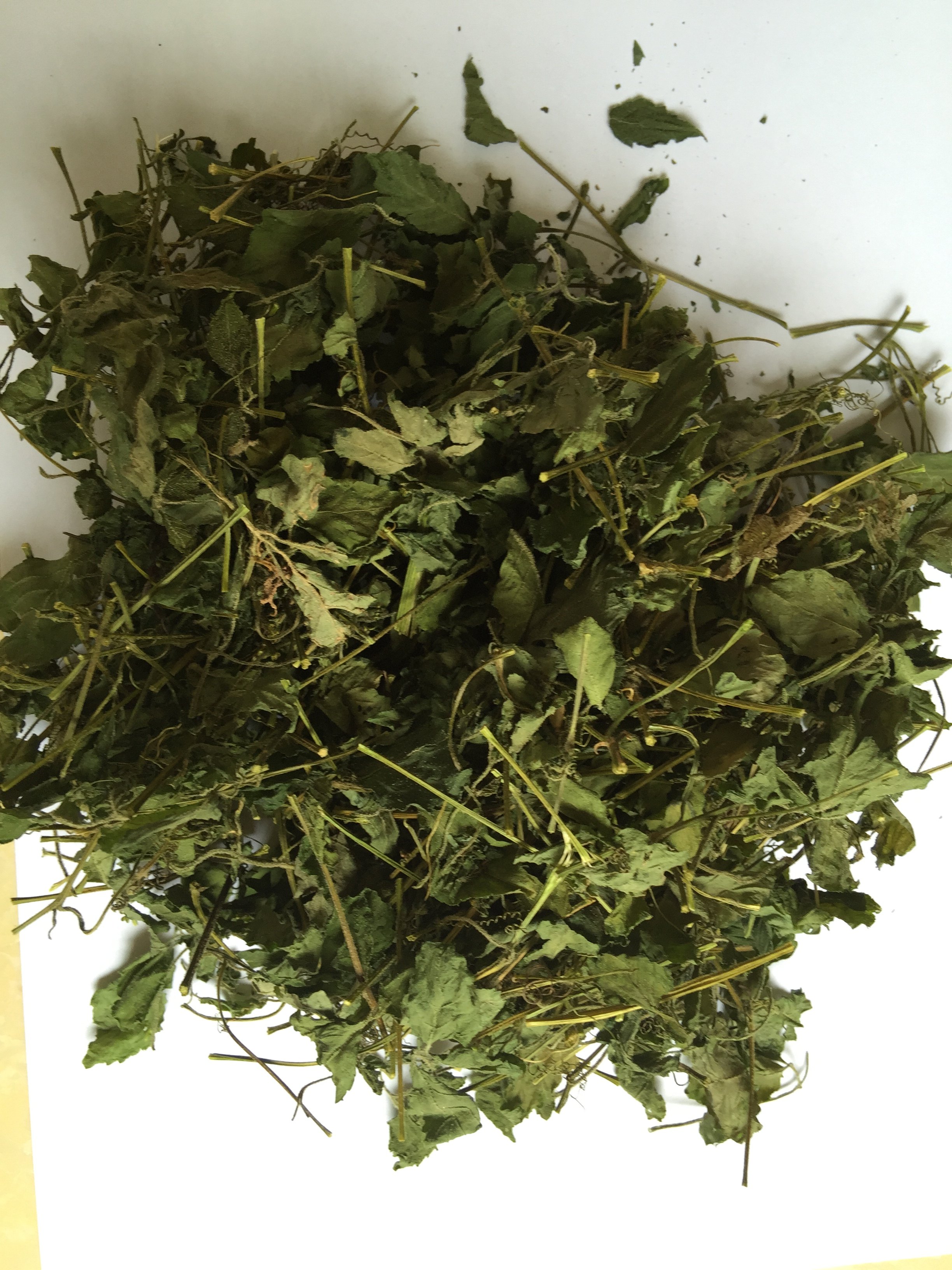 西双版纳特产 野生绞股蓝 散装 包邮