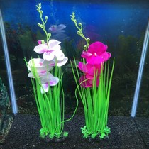 Fish tank decoration emulated water grass butterfly orchid fake flower and grass plant large swing piece 50 cm height
