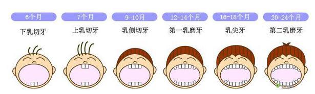 你家宝宝几个月长牙?口腔发育妈妈别错过