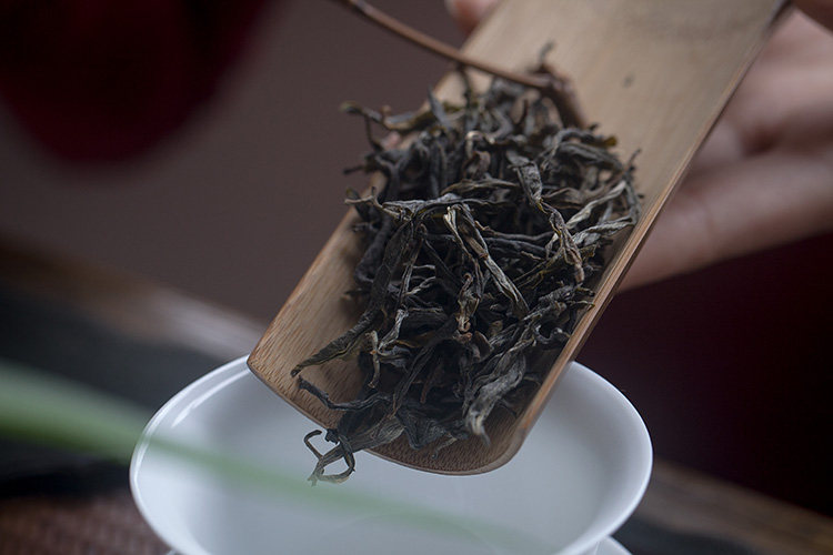 茶香记大户赛古树春尖普洱茶生茶2017年茶气凛冽大叶茶耐泡
