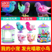 Heart-woundIn my little darling toy bird cage with bird singing will be called talking glowing emulation electronic birdie girl