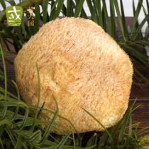 Monkey head mushroom 200g deep mountain planting farm dry goods