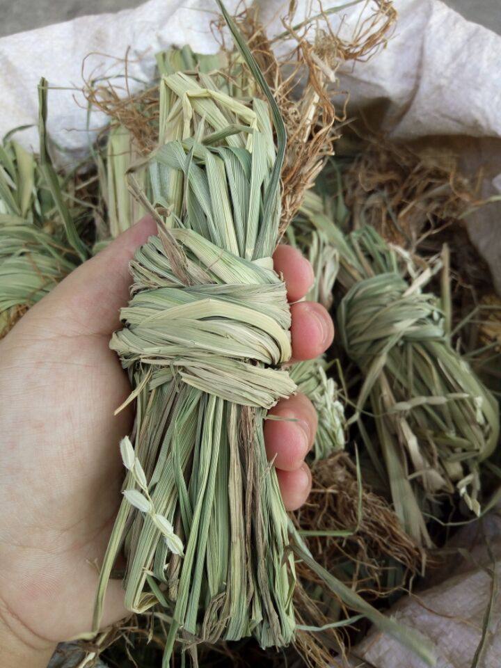 广东东莞特产陈皮咸榄枣红糯稻糯草禾胎草禾杆草250克广东三宝