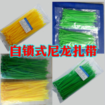 Battery car electric car accessories 4*200mm nylon cable ties Self-locking high-quality packaging cable ties Straps