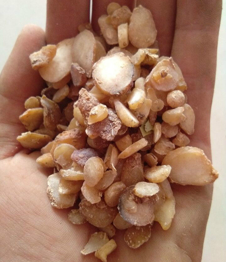 半夏中药材水半夏500克包邮姜制水半夏 法半夏片 法水半夏2件包邮