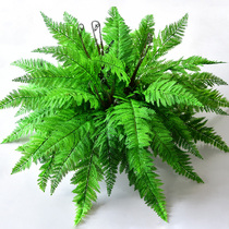 Simulation fern Persian grass fern grass row grass plant wall kidney fern fake flower green plant leaf potted plastic water plant