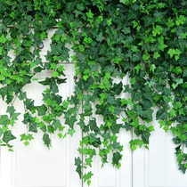 Simulation creeper rattan decorative leaves Leaf plant Plastic vine fake flower green plant wall green leaf water pipe