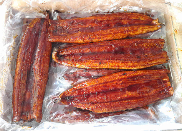 改装店 我要改灯 汽车改装配件 优惠券 【商品名称】:a款无汁蒲烧鳗鱼