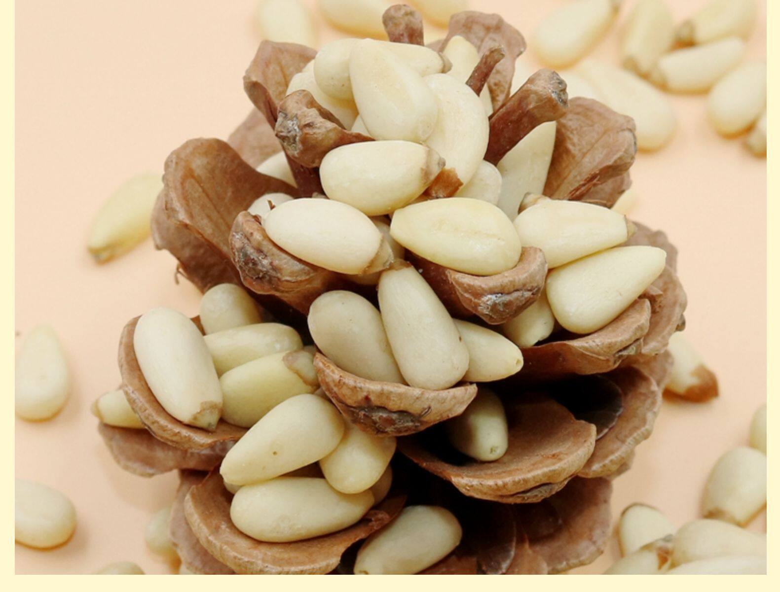 20年新货大颗粒红松仁松子仁 新剥仁坚果零食 净重500克包邮