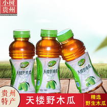 Xiaoshu Guizhou Zhengan Specialty Tianlou Wild Papaya Juice Beverage 350mlX3 Bottle Natural Juice Beverage