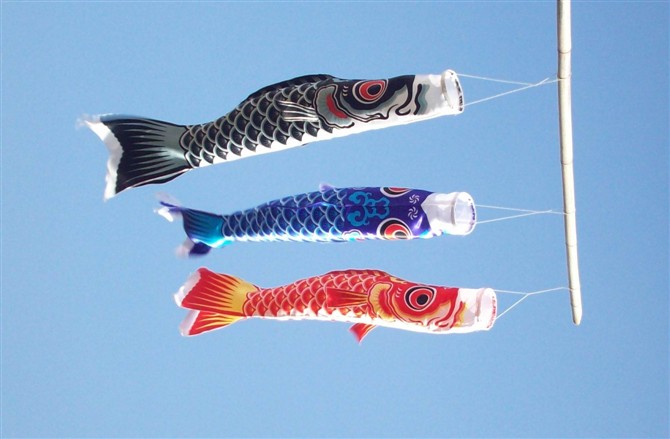 晴晴批发koinobori 鲤のぼり日本和风节庆祈福风水鲤鱼旗|风向幡