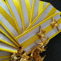 Film and television props embroidery badge Republic of China Beiyang warlord epaulette anti-war Northeast Army embroidery badge