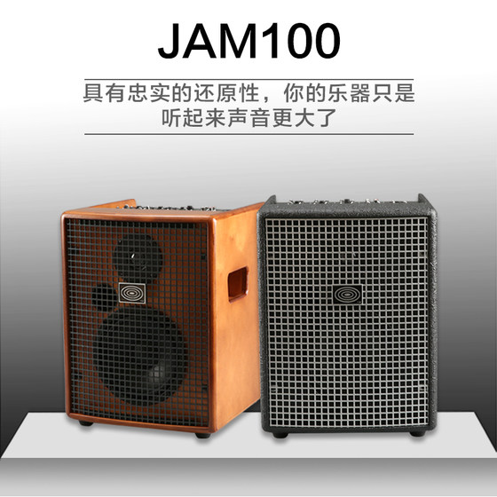 스위스 Schertler JAM100 JAM200 JULIET X /JAM X 어쿠스틱 기타 스피커 스위스 Schertler JAM100 JAM200 JULIET X /JAM X 어쿠스틱 기타 스피커