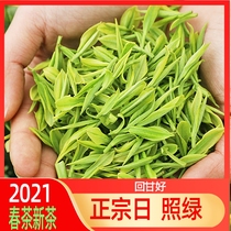 Authentic Mingqian Shandong Rizhao green tea 2021 new tea spring tea chestnut fragrant green bubble-resistant high mountain Mountain a catty