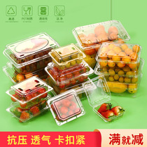 Disposable fruit box packaging Plastic transparent strawberry box Fruit and vegetable lunch box with cover portable one pound