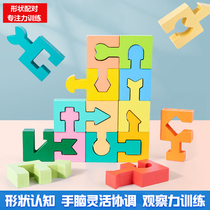 Montenegro Early Education Shape Matching Toys for Children and Women Hand Eyes to Coordinate Develop Intellectual Geometric Puzzle of Brain