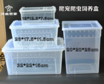 Reptile crawling pet feeding box Lizard guarding the palace scorpion spider centipede horned frog turtle insect escape-proof feeding scum box