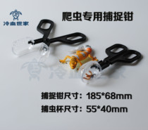 Insect catching pliers Reptile Crawling pet feeding pliers Yellow Mealworms Dolby Asian Cockroaches Crickets Spiders Seedling catching pliers