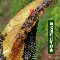 Xiangliduo Xishuangbanna specialty authentic wild honey soil honey Pure wild deep mountain Baihua 500g