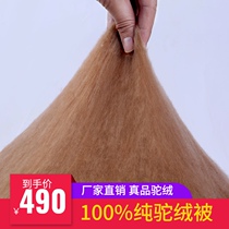 Nine silk pure 100% pure fine camel wool quilt Winter quilt camel hair quilt spring summer and autumn quilt core single double quilt wedding was customized