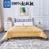 Nine silk pure 100% camel velvet quilt Spring summer autumn and winter quilt core Single double quilt Wedding quilt luxury gift quilt mother quilt