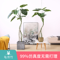 Large simulation green plant plantain Plantain Tiantang Birds Tortoise Back Bamboo Leaves Banyan Tree Emulation Green Plant Potted Plants