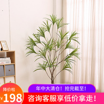 Nordic Wind Emulation Plant Sword Rangrass Indoor outdoor home placed green plant sisal tequila tropical plant new